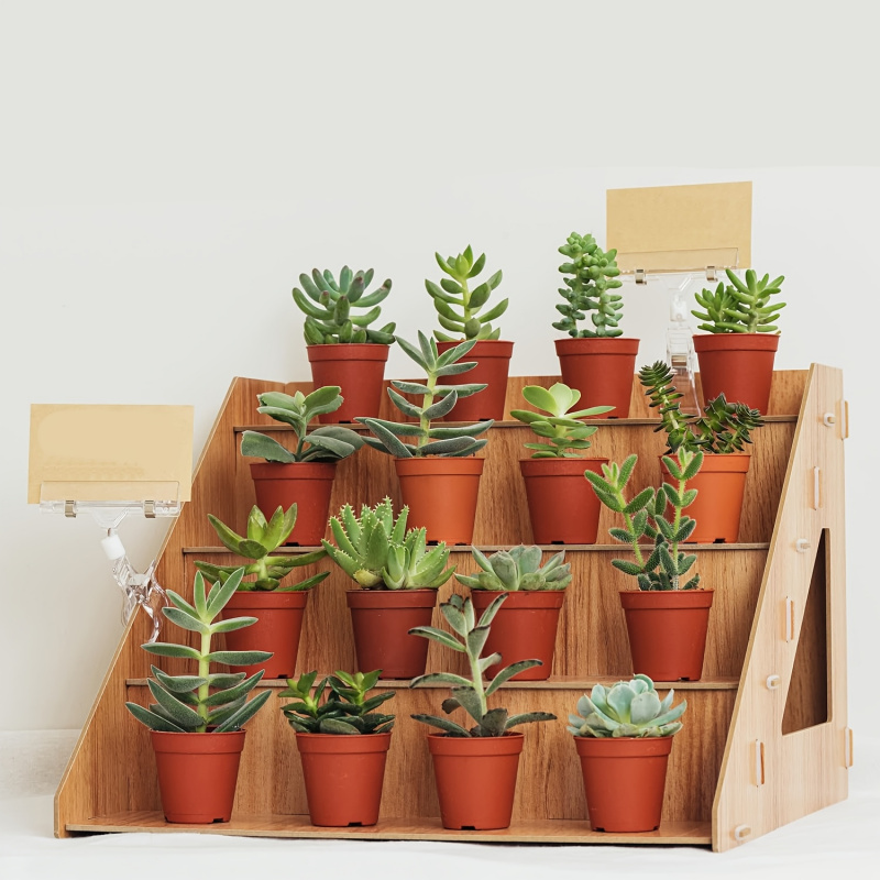 Expositor de madeira, suporte  - Pop Display Shelf avaliação e preço